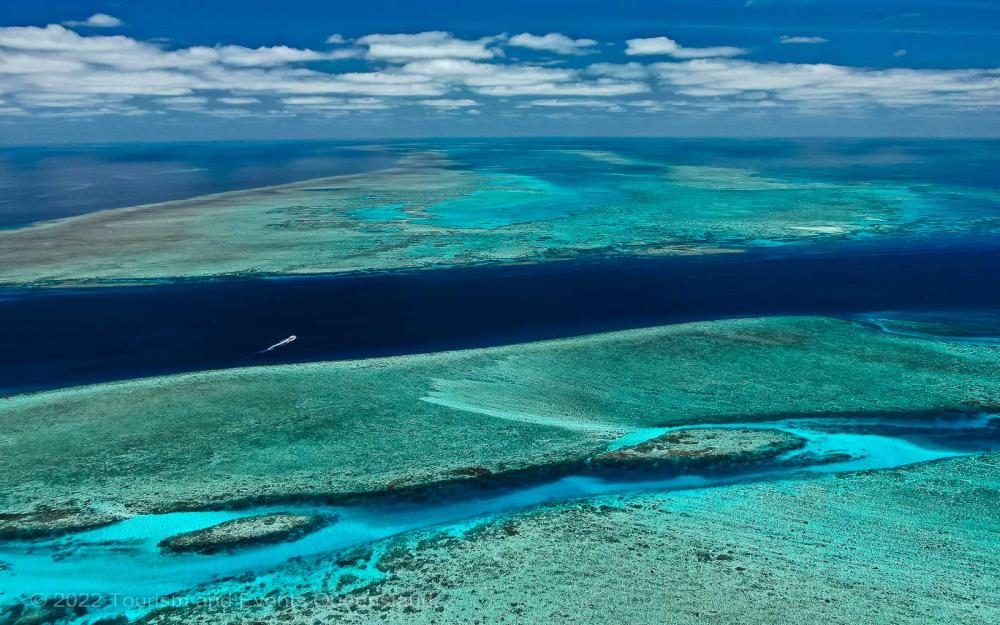 search-results-reef-authority